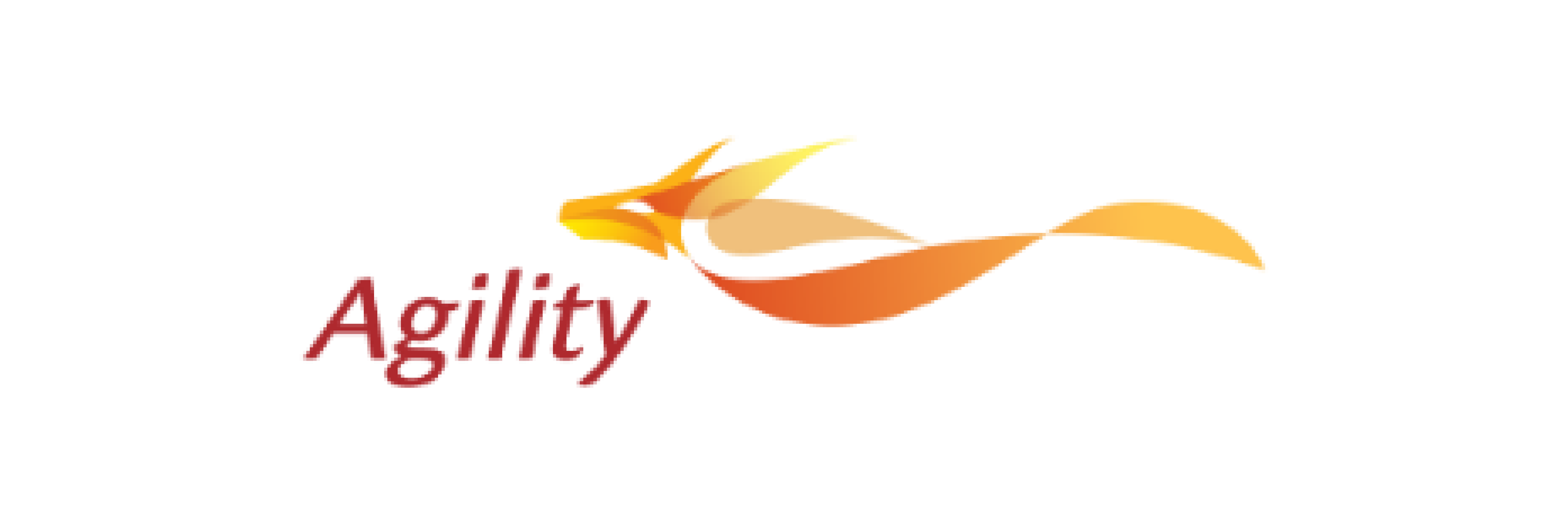 Partner 1 Logo